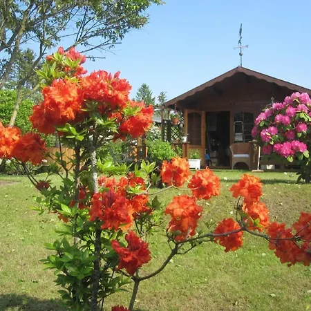 Am By Interhome Apartamento Malente
